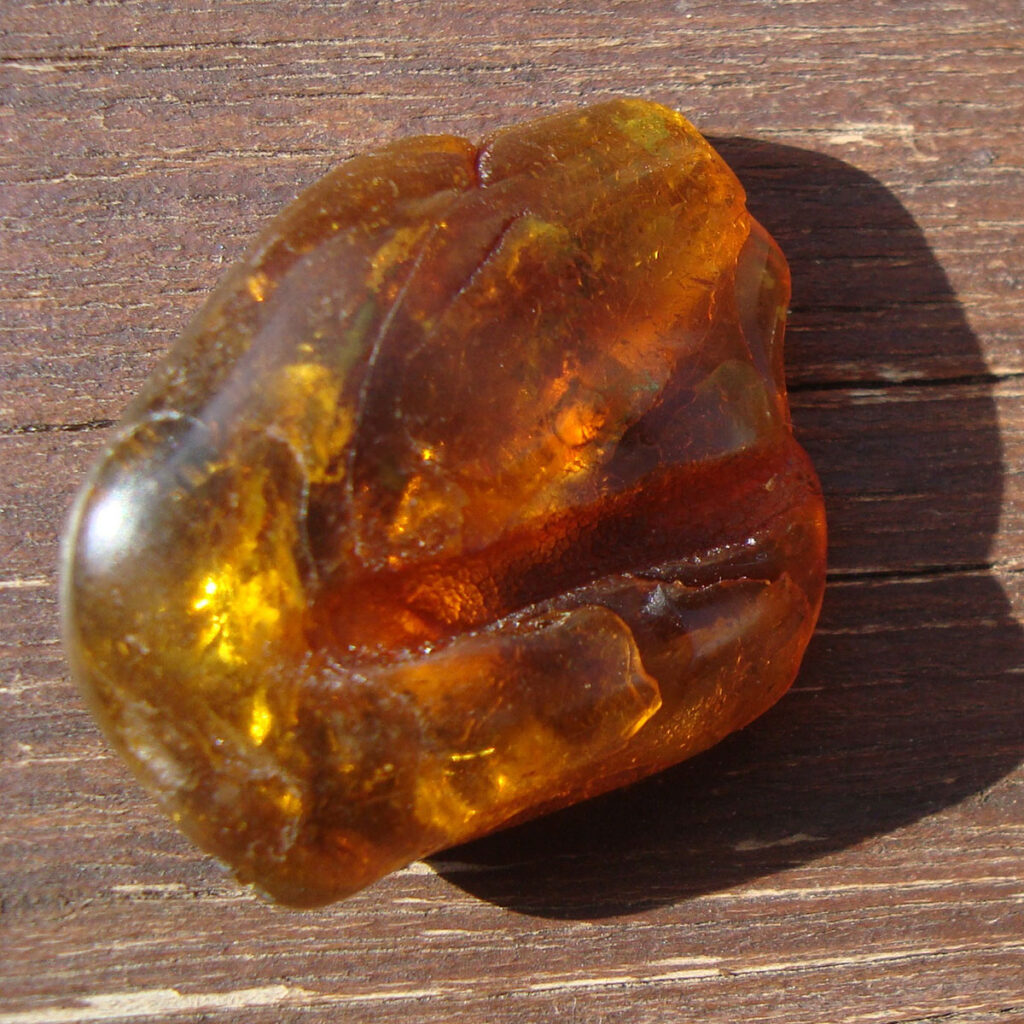 Bernsteine suchen und finden auf Rügen