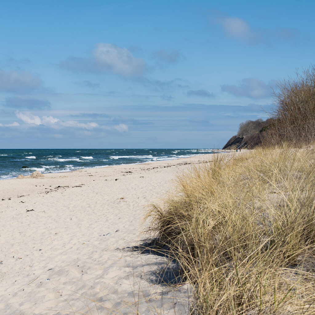 Der Strand am Bakenberg auf Rügen